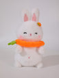 ILAHUI Swimming Ring Animal Doll 55296190