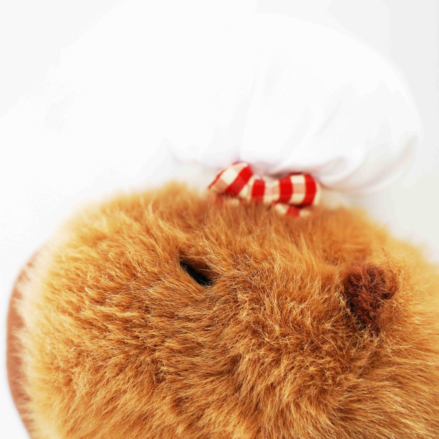 Capybara Plush Toy 22cm/33cm