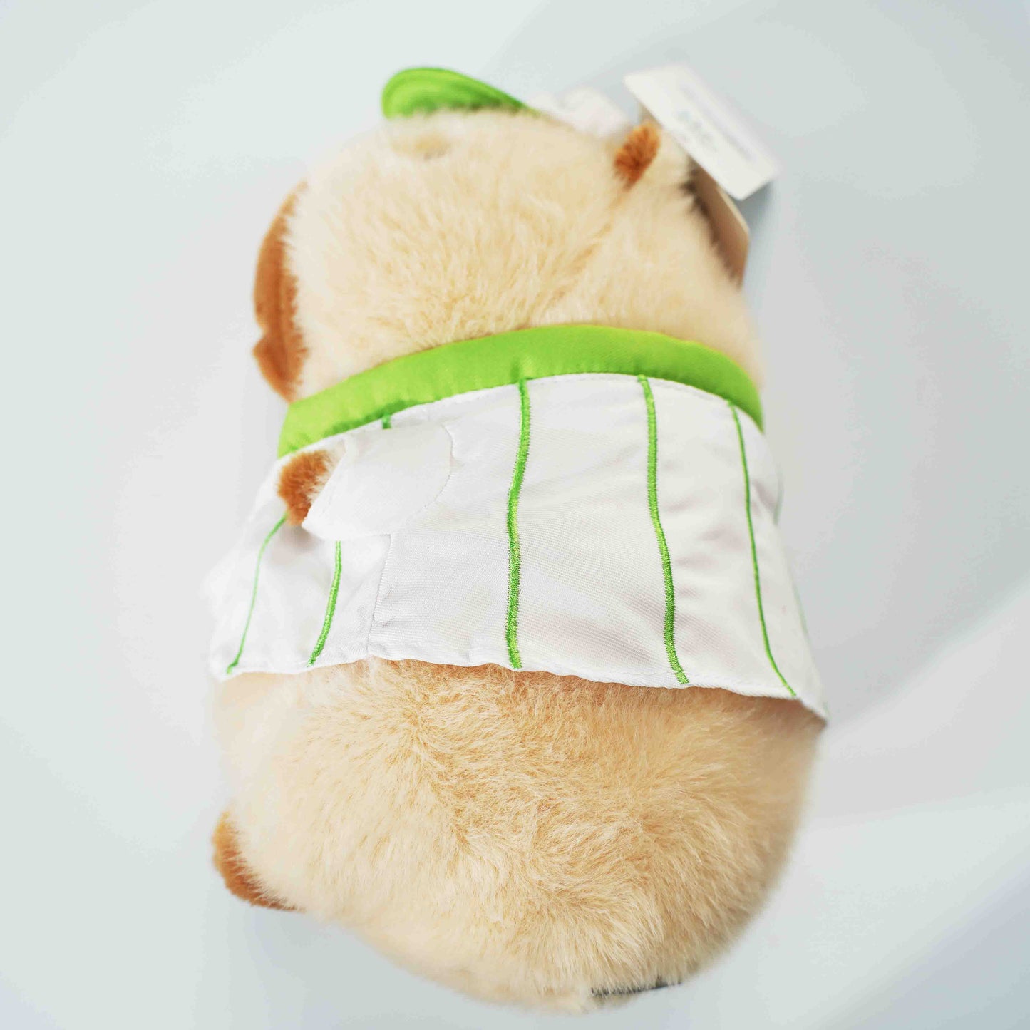 Capybara Plush Doll 23cm