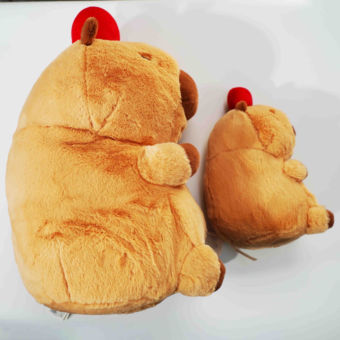 Capybara Plush Toys（22cm/33cm/48cm）